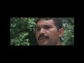 Conhe�a o Parque Municipal de Macei�