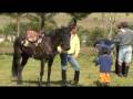 videos de Endurance Ecuador