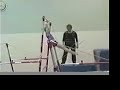 Gymnastics - BARS - Pak progressions Gymnastics - BARS - Pak progressions