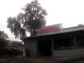 videos de Skatepark of Tampa Trip