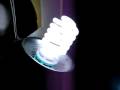 The largest CFL bulb currently in my collection.