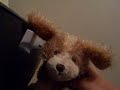 Webkinz singing rockstar Webkinz singing rockstar
