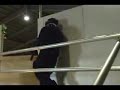TEAM PAIN (Japan) pinoy airsoft TEAM PAIN (Japan) pinoy airsoft
