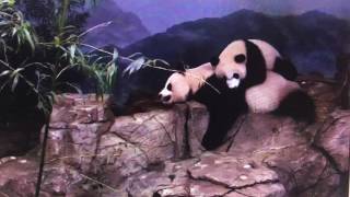 Smithsonian National Zoo