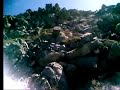 κυνηγι περδικας Διας-Λωρα