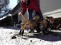 Electric Log Splitter