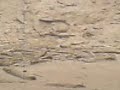 primeras imagenes temblor  sarapiqui rio desbourdado costa rica