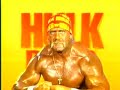 Hollywood Hulk Hogan tribute