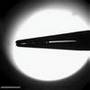 videos de Mechanical model of the phalarope beak (Manu Prakas, MIT)