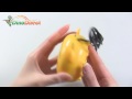 Mini Cartoon Bear Personal USB Powered Hand Warmer Massager - dinodirect