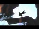 Halo Arms Race Part 2