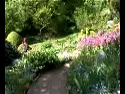 Hoggywart - Natural cottage style garden, sloping down to the ings greatly influenced by Margery Fish. Wide collection of Elizabethan and Barnhaven Primroses. Paths mean...