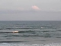Click here to watch this video サーフィン波情報千葉@吉崎浜2012/5/14#2