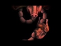 Carnivore Reflux Trailer
