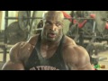 SHOULDER DAY