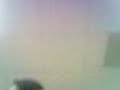 mobile,video,cellphone