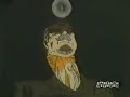 Sailor Moon Star 186 Dublado em Portugu�s Br 2 parte 2/2