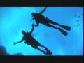 videos de Scuba Adventure Day