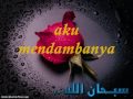 Padi Begitu Indah