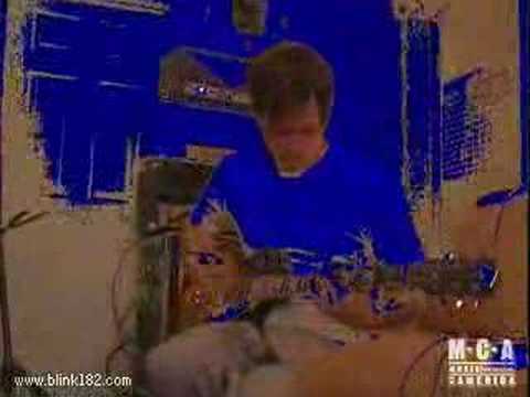 Blink 182 - Cheetah - EXTRA LONG VIDEO!!!