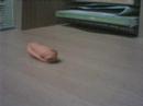 My first stop motion animation My first stop motion animation
