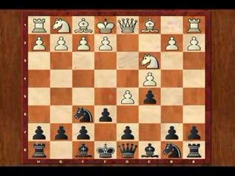 chess chess