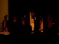 Celtic Harp Orchestra.. concerto a Camnago Volta