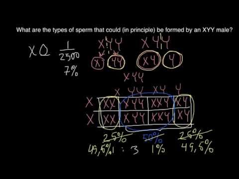 how to treat xyy syndrome