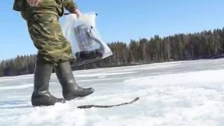 самоловы на налима видео самоловы на налима видео