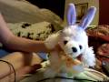 Snowball's talkshow