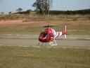Ecureuil (Esquilo , Squirrel) Thunder Tiger T-rex 600E Multi