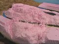 Model Railroad Scenery using Extruded Foam: Part 6 Model Railroad Scenery using Extruded Foam: Part 6