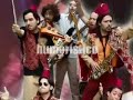 morocco topo gipsy band