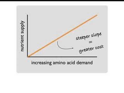 The role of cost in gene expression
