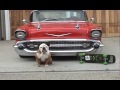 See video