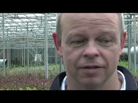 Hans van Strijdhoven: meer balans tussen input en output ...