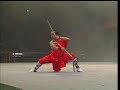 Shaolin Kungfu Demo 16- Shaolin Stick