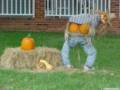 videos de Random stuff with music
