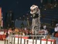 Kedah Hong Teck @ Genting 2009 - free flv video @ vwatch.tv