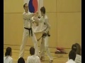 Taekwon-do-Graz-Son-