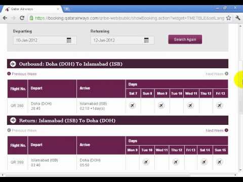 how to check flight status