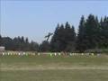 Hangar 9 Showtime 4D RC airplane tearing up the sky