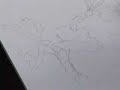 Garden Sketching Garden Sketching