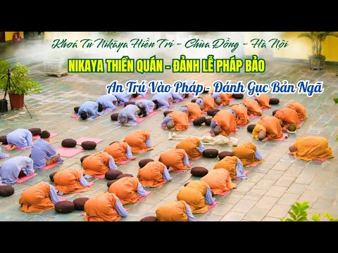NIKAYA Thiền Quán - Đảnh Lễ Pháp Bảo - An Trú Vào Pháp - Đánh Gục Bản Ngã *