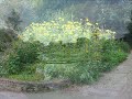 Water Gardens Mael Carhaix, Cotes d\