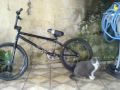 MY BMX  = Jean Sani BMX'eR Nada Consta¿¿¿