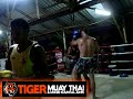 Learn Muay Thai Techniques @ Tiger Muay Thai & MMA