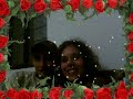 Chipis en ocotlan