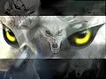 Wolf\