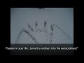 Snowshoe WV/Rio